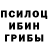 Галлюциногенные грибы ЛСД Elena Brener