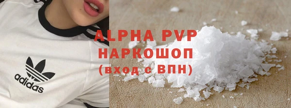 прущие грибы Балахна