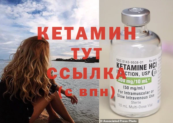 прущие грибы Балахна