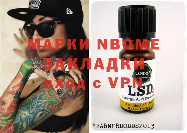 прущие грибы Балахна