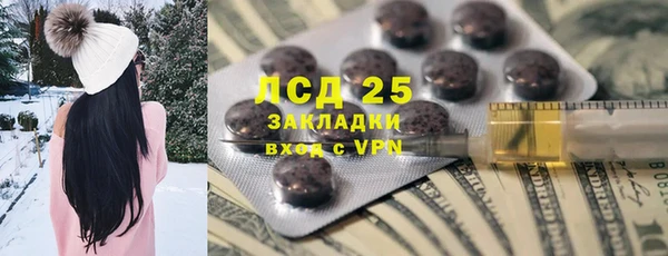 прущие грибы Балахна
