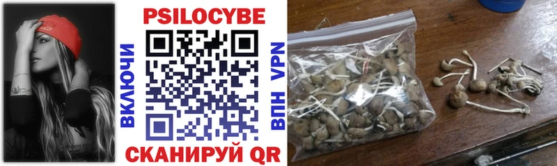 Псилоцибиновые грибы GOLDEN TEACHER MEGA ссылки Ногинск
